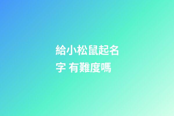 給小松鼠起名字 有難度嗎